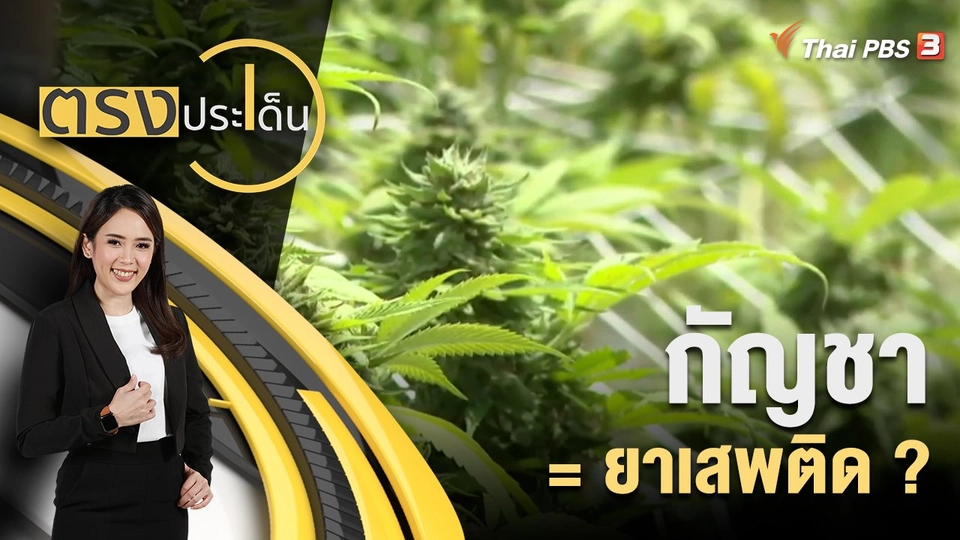 กัญชา = ยาเสพติด ?