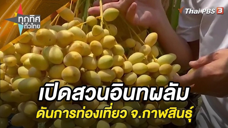 เปิดสวนอินทผลัมดันการท่องเที่ยว จ.กาฬสินธุ์