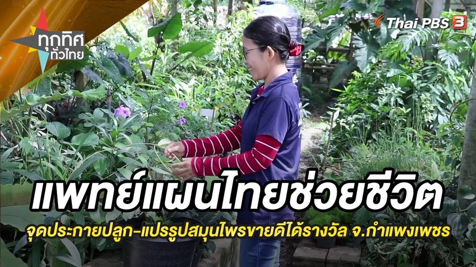 แพทย์แผนไทยช่วยชีวิต จุดประกายปลูก-แปรรูปสมุนไพรขายดีได้รางวัล จ.กำแพงเพชร