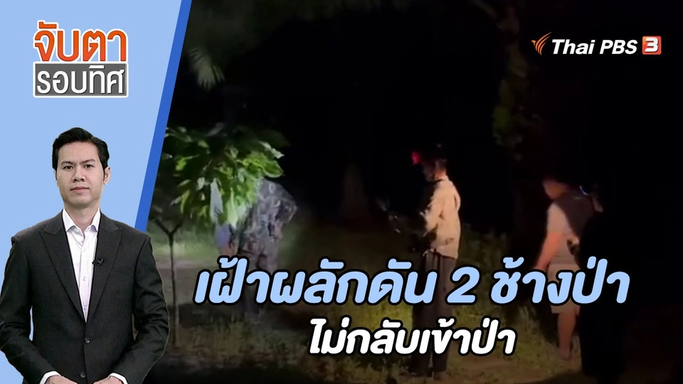 เฝ้าผลักดัน 2 ช้างป่าไม่กลับเข้าป่า | 15 ส.ค. 66