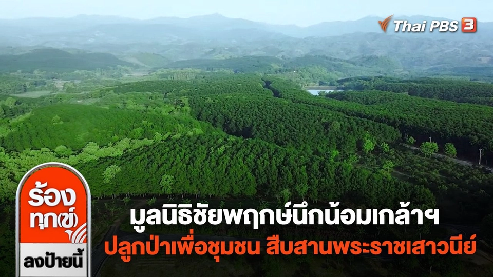 มูลนิธิชัยพฤกษ์นึกน้อมเกล้าฯ ปลูกป่าเพื่อชุมชน สืบสานพระราชเสาวนีย์