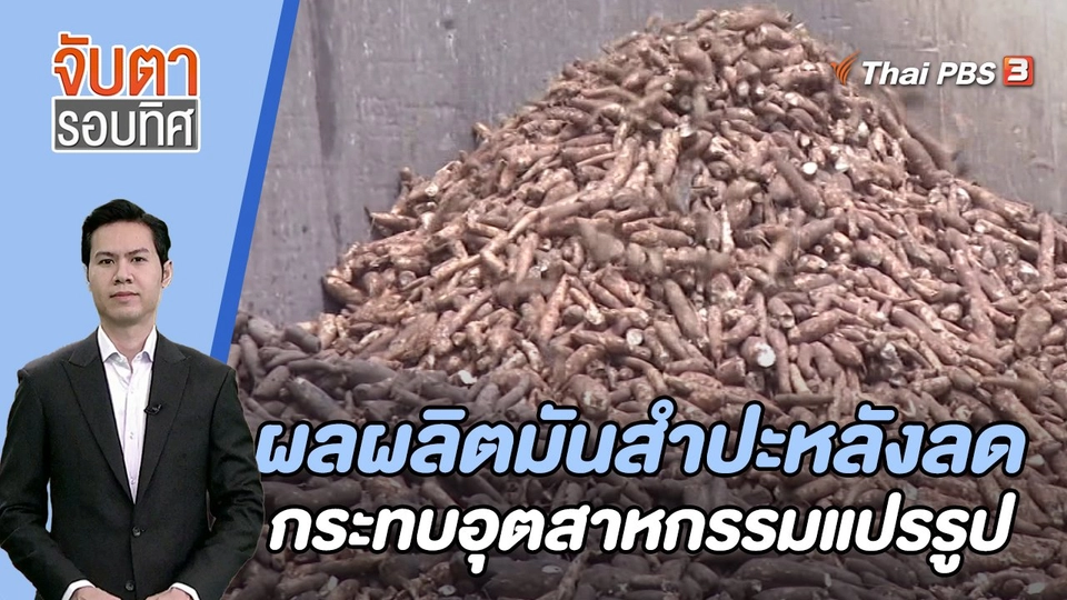 ผลผลิตมันสำปะหลังลดกระทบอุตสาหกรรมแปรรูป | 29 ส.ค. 66