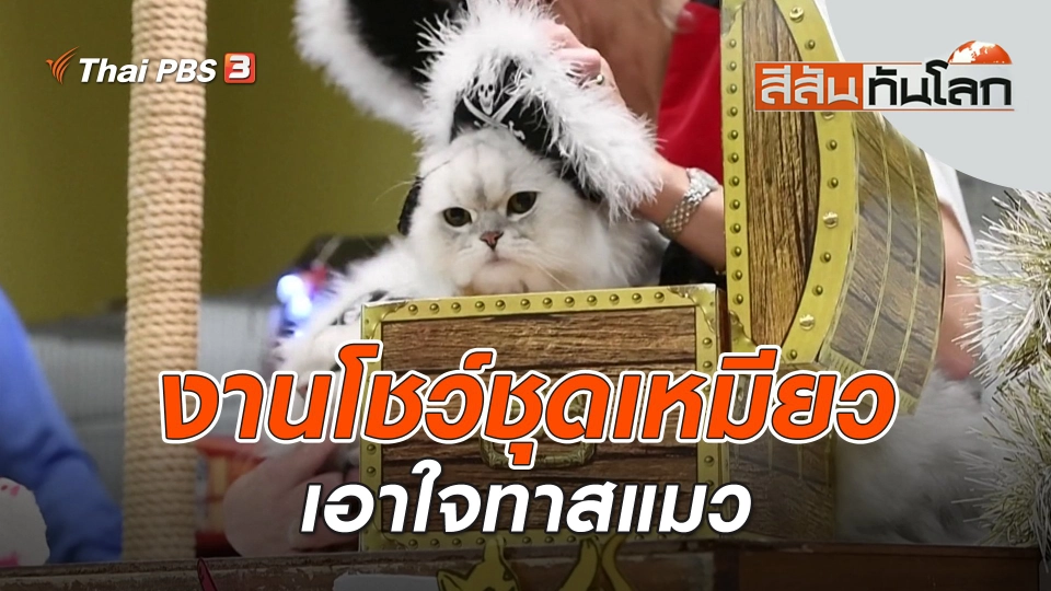 งานโชว์ชุดเหมียวเอาใจทาสแมว | สีสันทันโลก | 2 ก.ย. 66