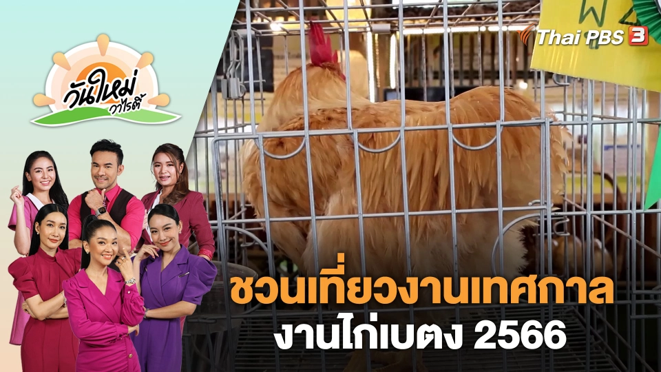 ชวนเที่ยวงานเทศกาลงานไก่เบตง 2566 | วันใหม่วาไรตี้ | 30 ส.ค. 66