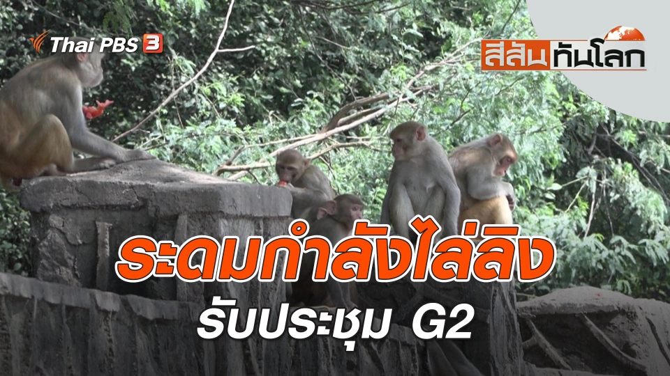 ระดมกำลังไล่ลิงรับประชุม G2 | สีสันทันโลก | 9 ก.ย. 66