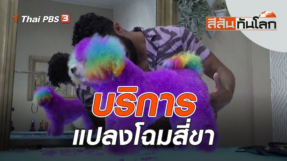 บริการแปลงโฉมสี่ขา | สีสันทันโลก | 16 ก.ย. 66