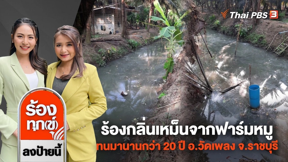 ร้องกลิ่นเหม็นจากฟาร์มหมู ทนมานานกว่า 20 ปี อ.วัดเพลง จ.ราชบุรี