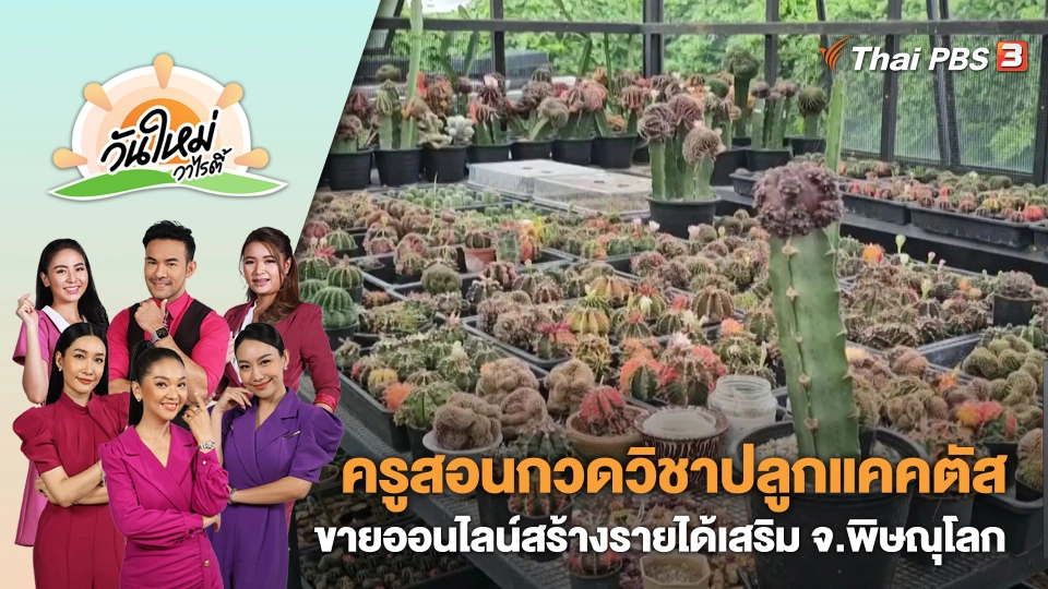 ครูสอนกวดวิชาปลูกแคคตัสขายออนไลน์สร้างรายได้เสริม | วันใหม่วาไรตี้ | 28 ก.ย. 66