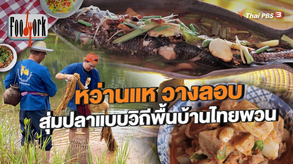 หว่านแห วางลอบ สุ่มปลาแบบวิถีพื้นบ้านไทยพวน