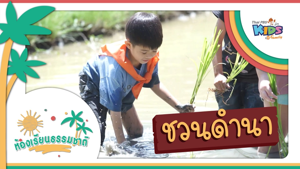 ชวนดำนา