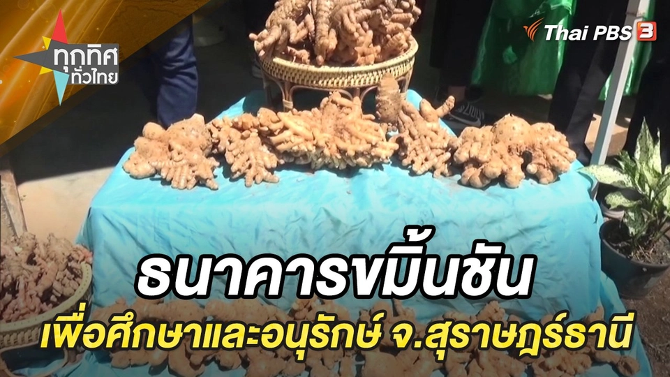 ธนาคารขมิ้นชันเพื่อศึกษาและอนุรักษ์ จ.สุราษฎร์ธานี