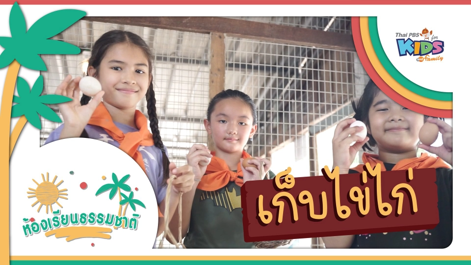 เก็บไข่ไก่