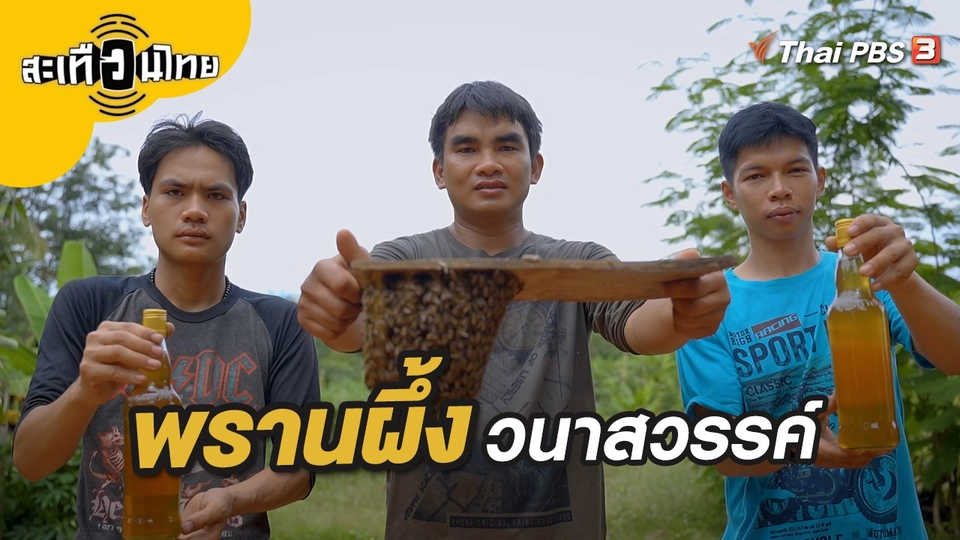 พรานผึ้งวนาสวรรค์