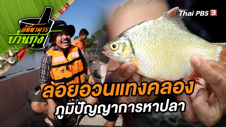 ลอยอวนแทงคลอง