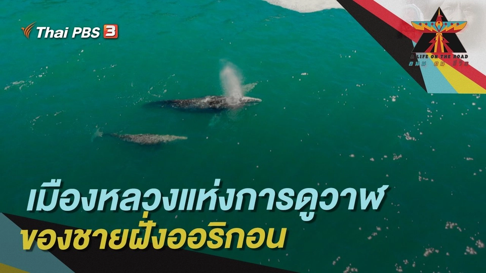 เมืองหลวงแห่งการดูวาฬของชายฝั่งออริกอน