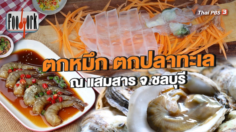 ตกหมึก ตกปลาทะเล ณ แสมสาร จ.ชลบุรี