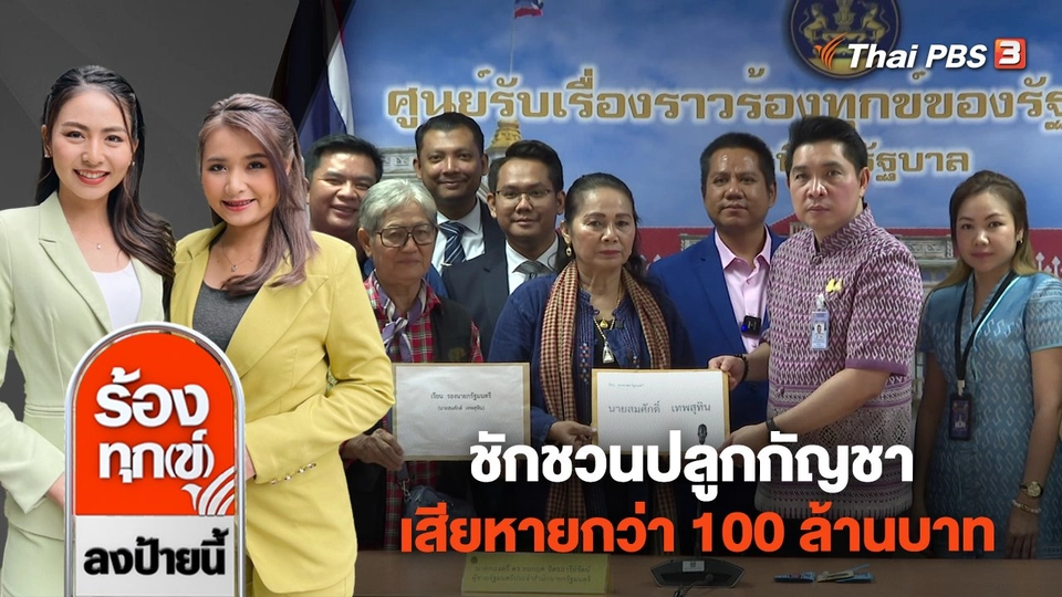 ชักชวนปลูกกัญชา เสียหายกว่า 100 ล้านบาท