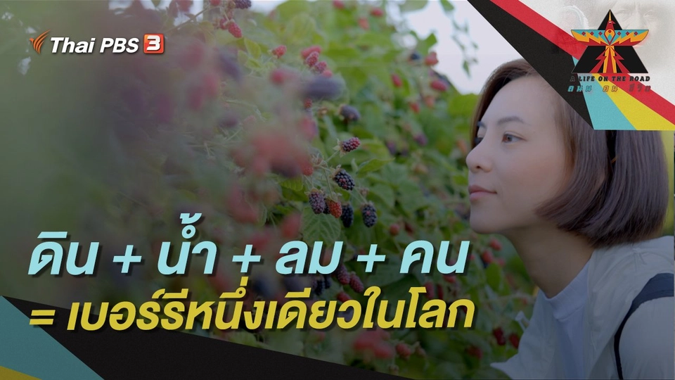 ดิน + น้ำ + ลม + คน = เบอร์รีหนึ่งเดียวในโลก