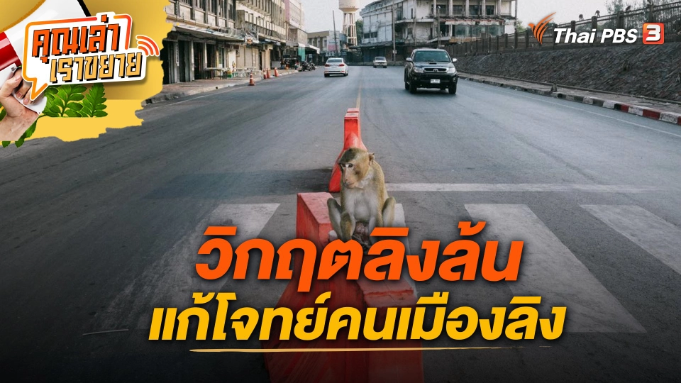 วิกฤตลิงล้น แก้โจทย์คนเมืองลิง