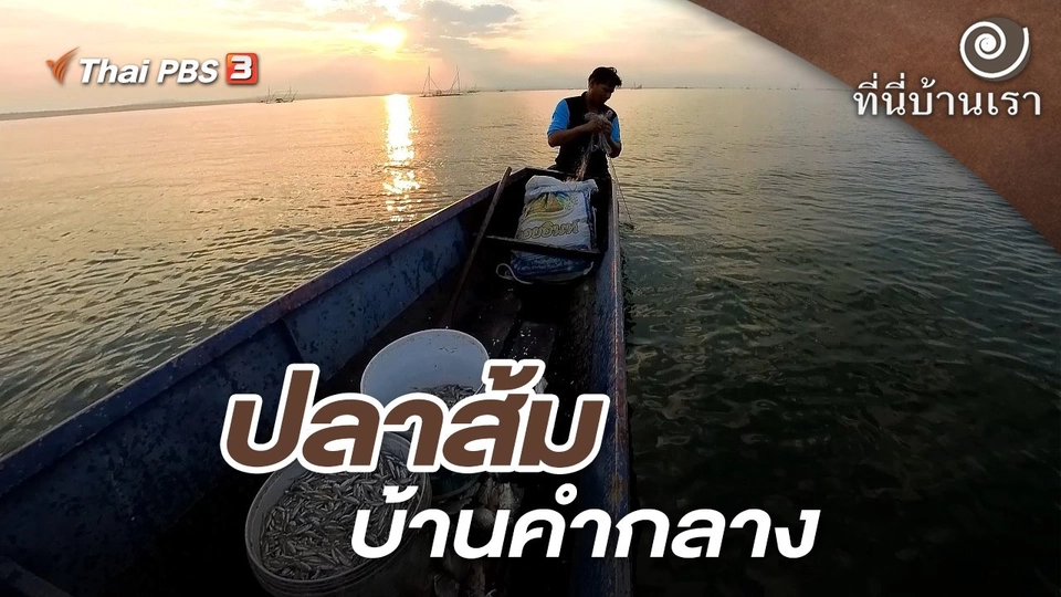 ปลาส้มบ้านคำกลาง