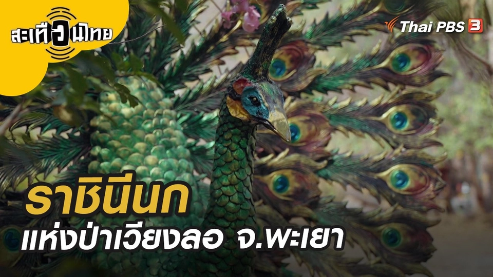 ราชินีนกแห่งป่าเวียงลอ จ.พะเยา