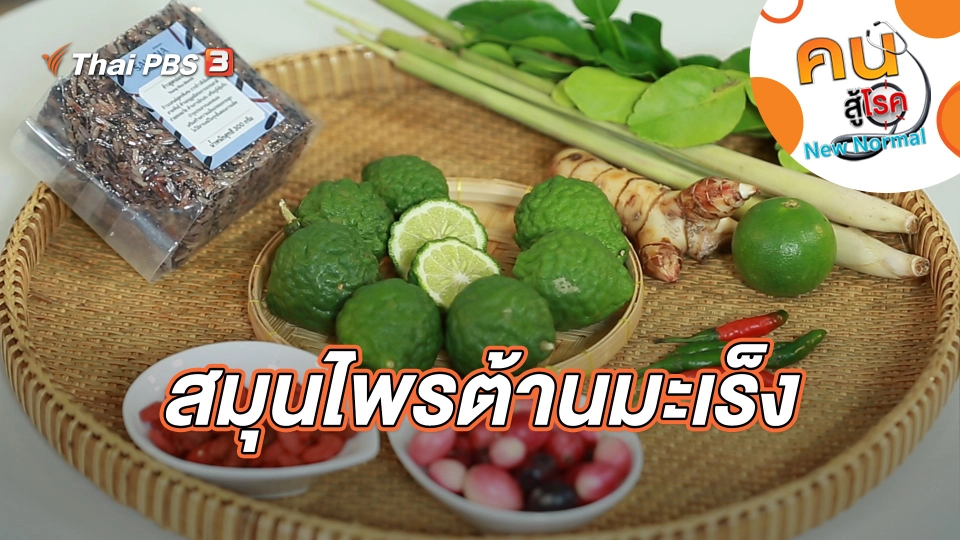 สมุนไพรต้านมะเร็ง