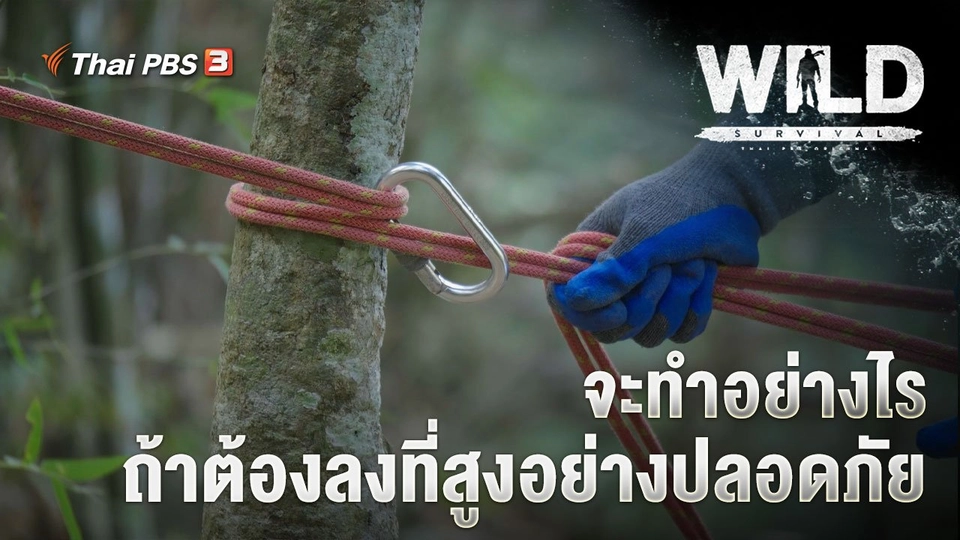 จะทำอย่างไร ถ้าต้องลงที่สูงอย่างปลอดภัย