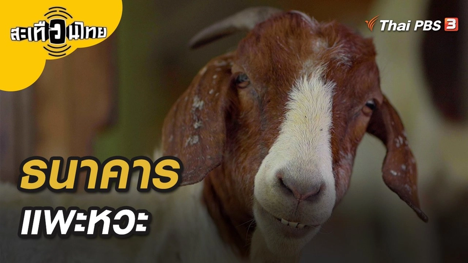 ธนาคารแพะหวะ