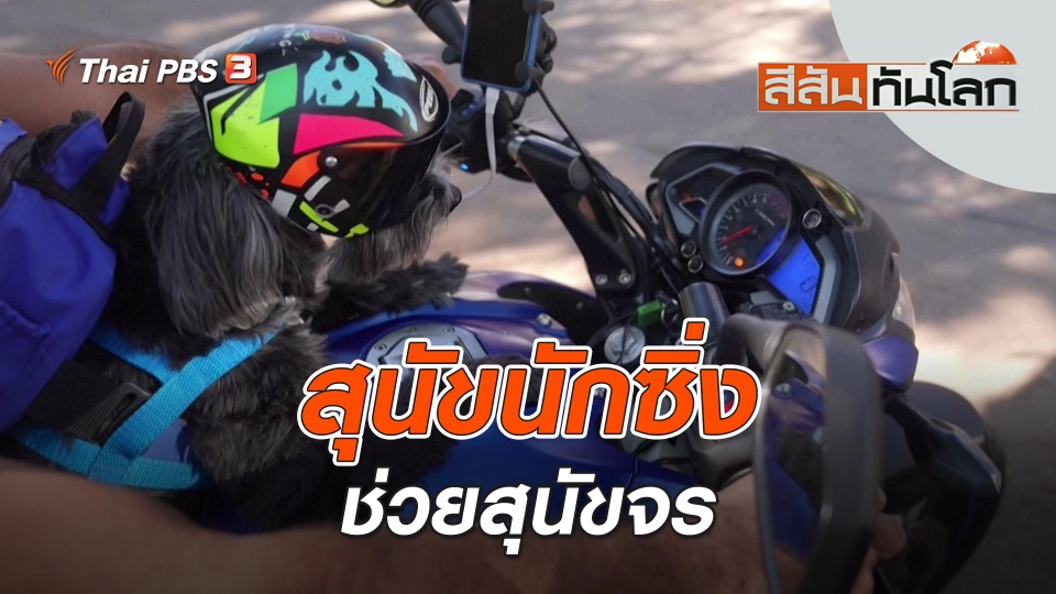สุนัขนักซิ่งช่วยสุนัขจร | สีสันทันโลก | 30 ก.ค. 66