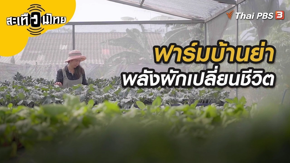 ฟาร์มบ้านย่า "พลังผักเปลี่ยนชีวิต"