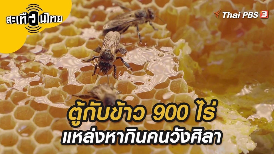 ตู้กับข้าว 900 ไร่ แหล่งหากินคนวังศิลา