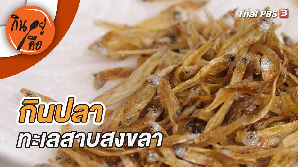 กินปลาทะเลสาบสงขลา