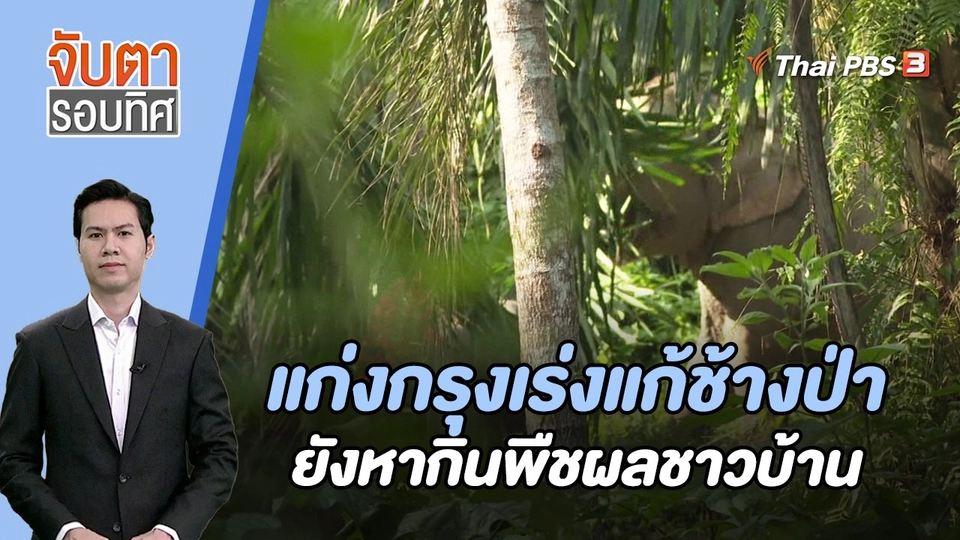 แก่งกรุงเร่งแก้ช้างป่ายังหากินพืชผลชาวบ้าน | จับตารอบทิศ | 30 พ.ย. 66