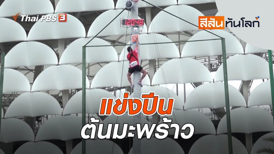 แข่งปีนต้นมะพร้าว | สีสันทันโลก | 3 ธ.ค. 66