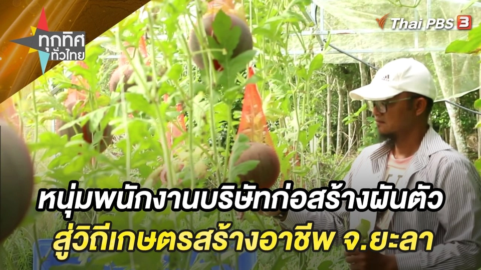 หนุ่มพนักงานบริษัทก่อสร้างผันตัวสู่วิถีเกษตรสร้างอาชีพ จ.ยะลา