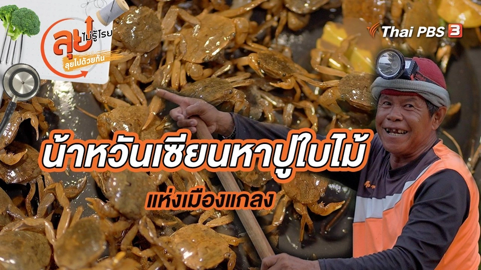 น้าหวันเซียนหาปูใบไม้ แห่งเมืองแกลง