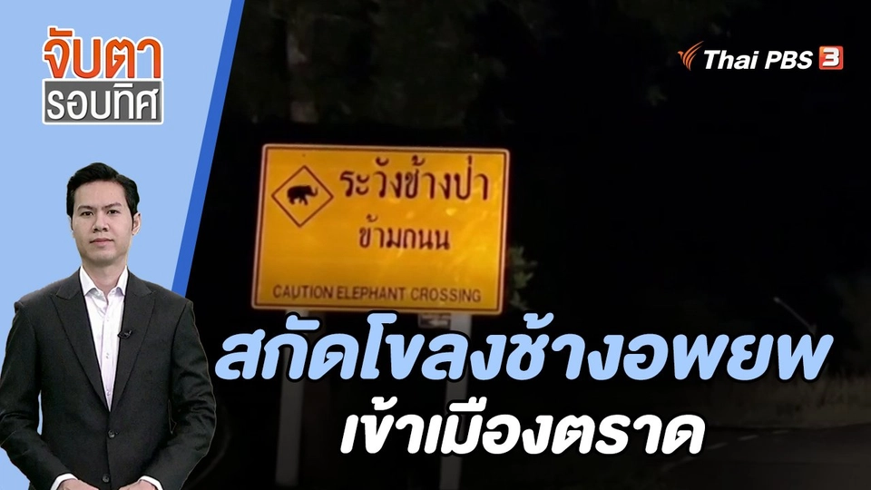 สกัดโขลงช้างอพยพเข้าเมืองตราด | จับตารอบทิศ | 16 พ.ย. 66