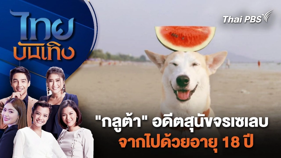 กลูต้า" อดีตสุนัขจรเซเลบ จากไปด้วยอายุ 18 ปี | ไทยบันเทิง | 2 ก.พ. 67