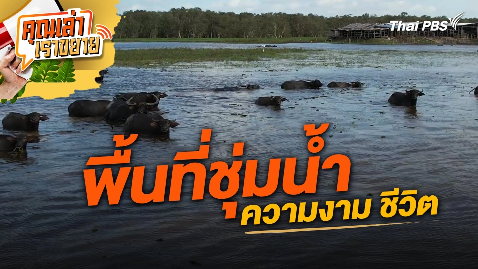 พื้นที่ชุ่มน้ำ ความงาม ชีวิต