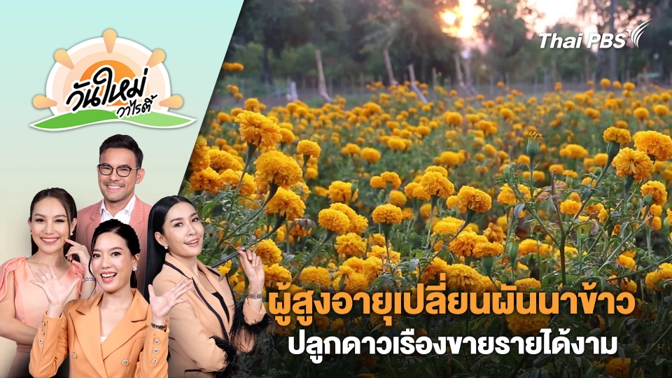 ผู้สูงอายุเปลี่ยนผันนาข้าวปลูกดาวเรืองขายรายได้งาม | วันใหม่วาไรตี้ | 31 ม.ค. 67