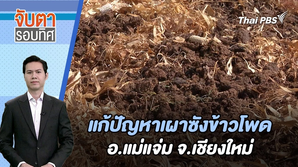 แก้ปัญหาเผาซังข้าวโพด อ.แม่แจ่ม จ.เชียงใหม่| จับตารอบทิศ | 5 ก.พ. 67