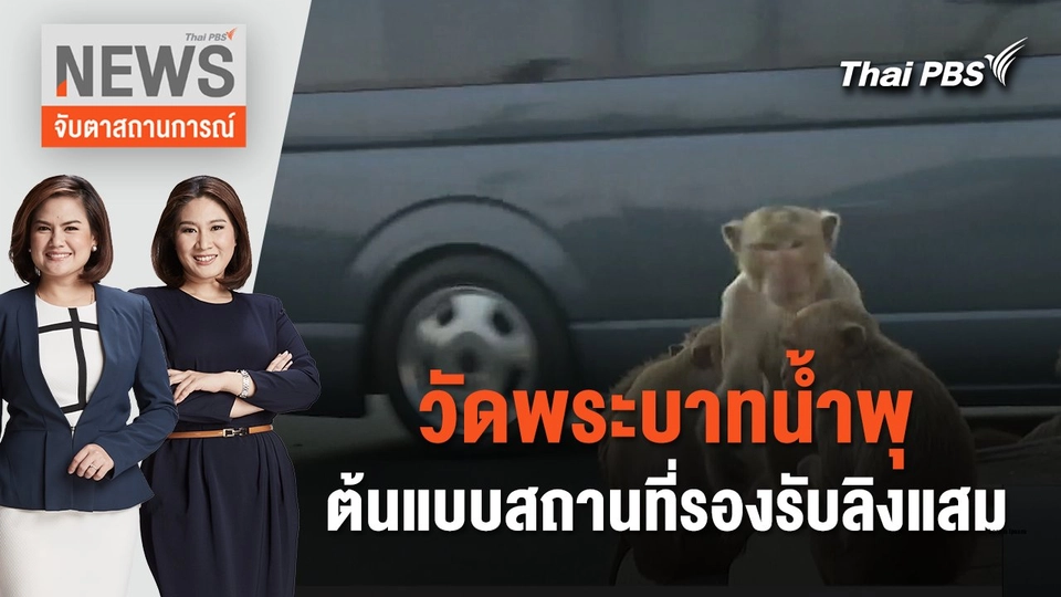 วัดพระบาทน้ำพุ ต้นแบบสถานที่รองรับลิงแสม | จับตาสถานการณ์ | 9 ก.พ. 67