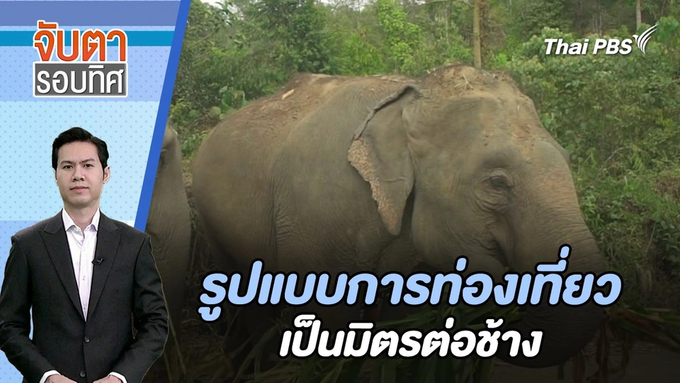 รูปแบบการท่องเที่ยวเป็นมิตรต่อช้าง | จับตารอบทิศ | 13 ก.พ. 67