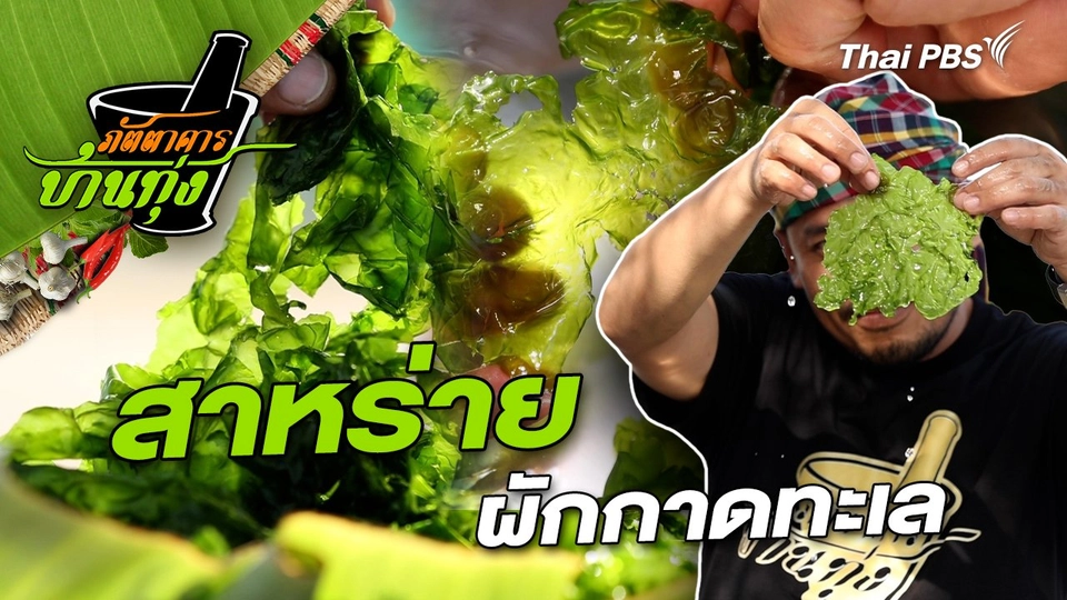 สาหร่ายผักกาดทะเล