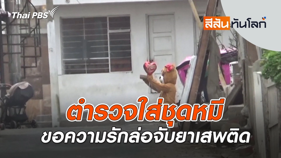 ตำรวจใส่ชุดหมีขอความรักล่อจับยาเสพติด | สีสันทันโลก | 17 ก.พ. 67