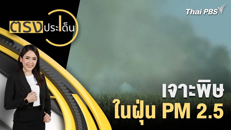 เจาะพิษในฝุ่น PM 2.5