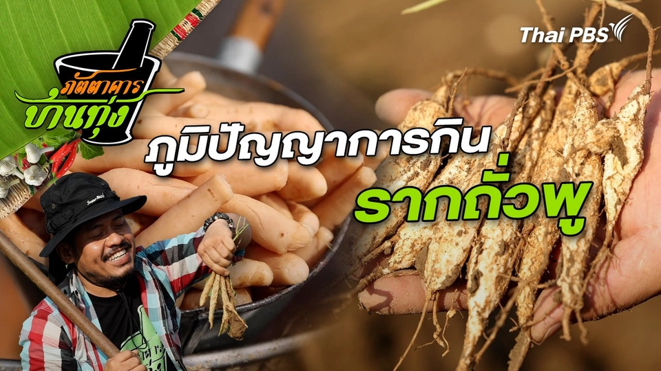 รากถั่วพู