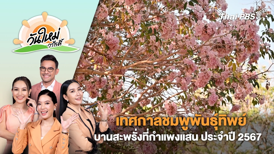 เทศกาลชมพูพันธุ์ทิพย์บานสะพรั่งที่กำแพงแสน ประจำปี 2567 | วันใหม่วาไรตี้ | 6 มี.ค. 67