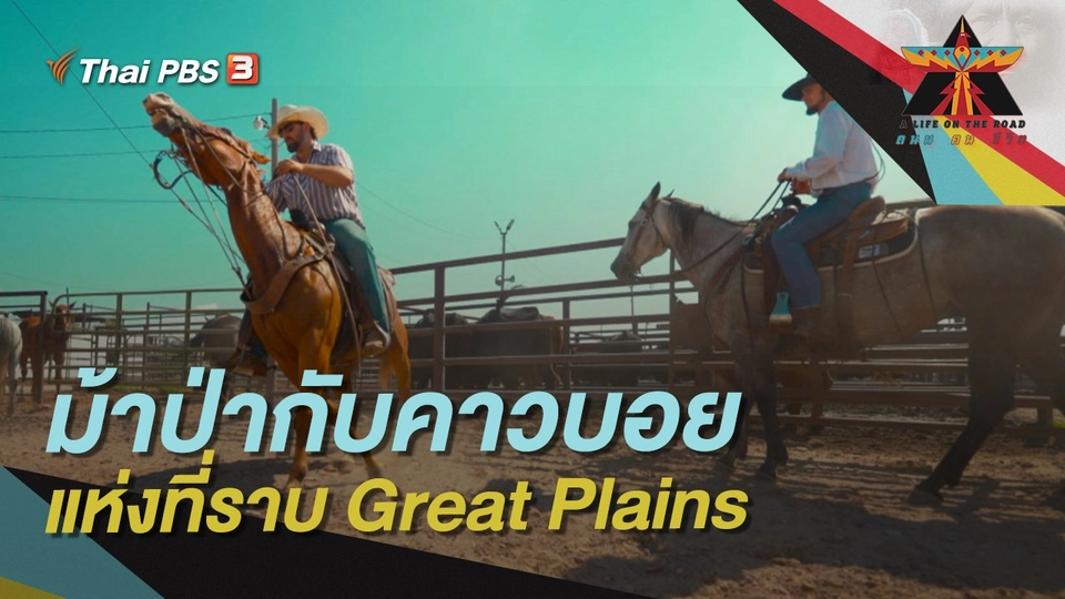 ม้าป่ากับคาวบอยแห่งที่ราบ Great Plains