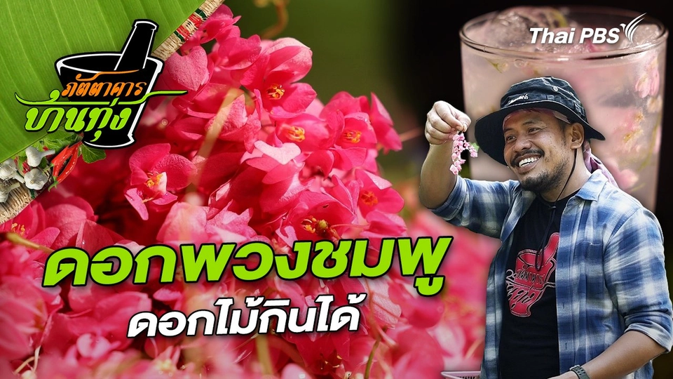 ดอกพวงชมพู